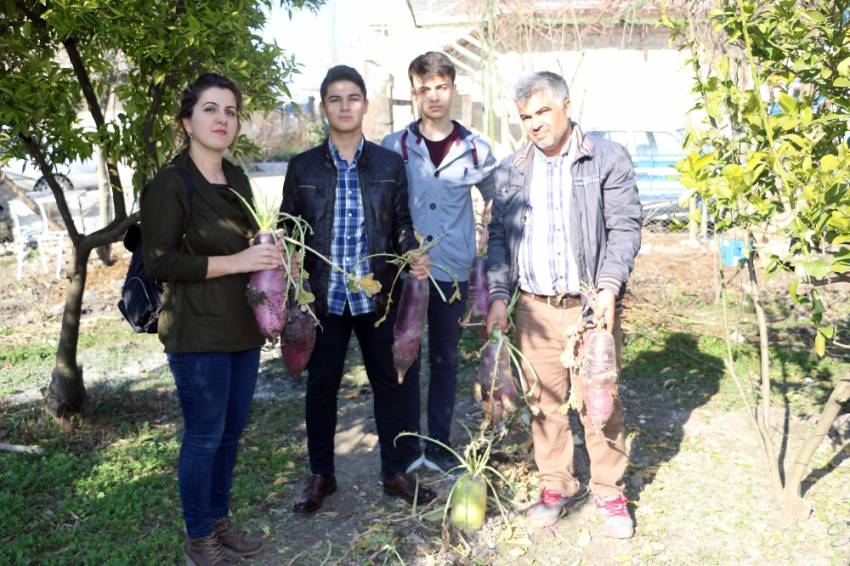 Öğretmenden 6 kiloluk yeni turp çeşidi