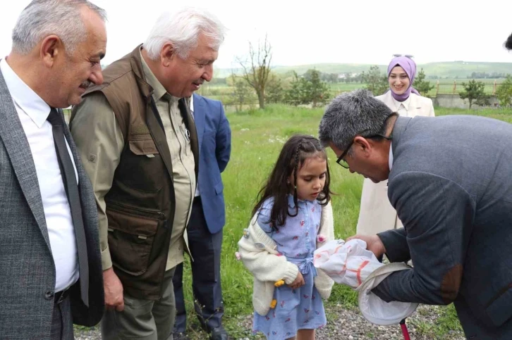 Öğrenciler hiç görmedikleri böcekleri aparatlarla topladı
