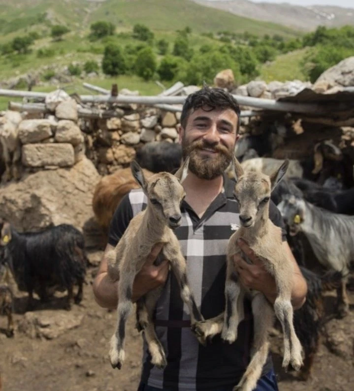 Öksüz kalan yaban keçileri "Munzur" ve "Dersim"den güzel haber
