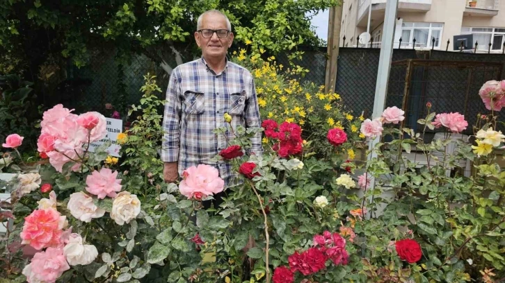 Okulun bahçesinde güller açtı
