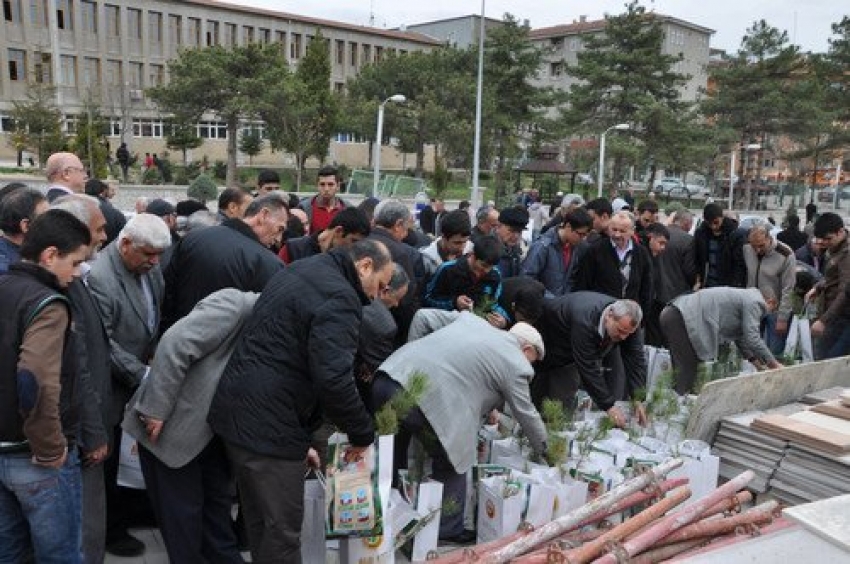 Bursa'da orman haftası