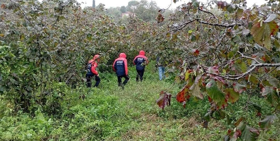 Ordu’da ağaçtan düşen yaşlı adam hayatını kaybetti
