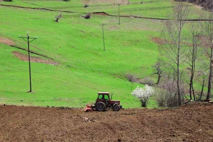 Ordu’da atıl araziler tarımla buluşuyor
