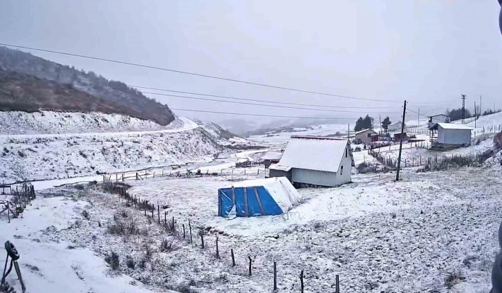 Ordu’da yaylalar beyaza büründü
