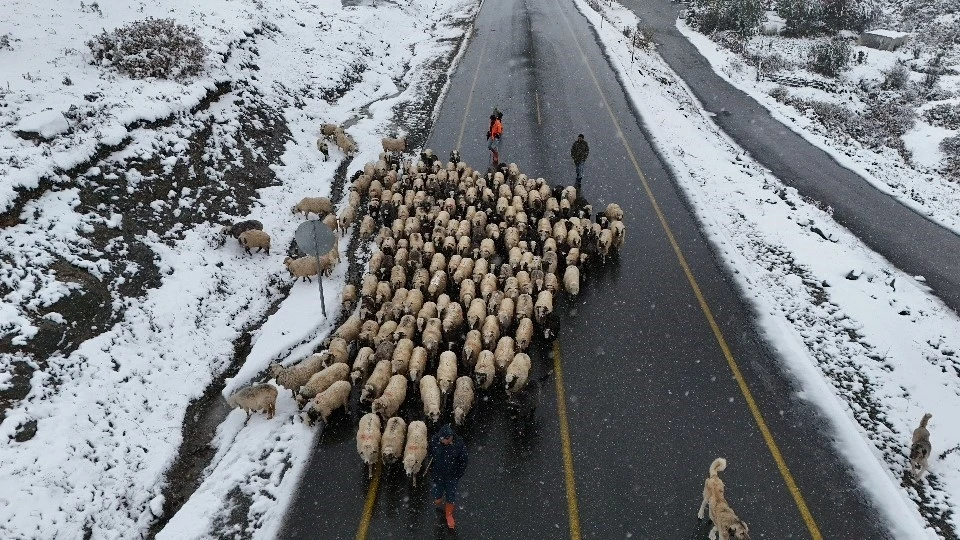 Ordu yaylalarında görsel kar şöleni
