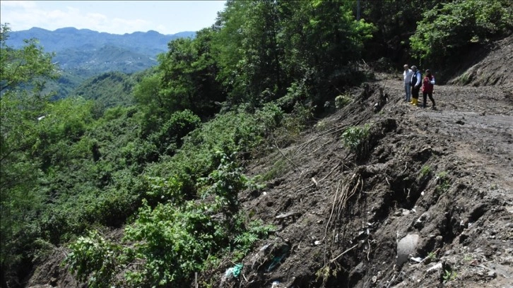 Ordu'da heyelanlardan zarar gören fındık bahçelerinde hasar tespiti başladı