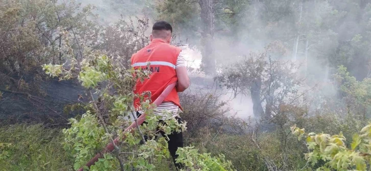 Orman yangını büyümeden önlendi
