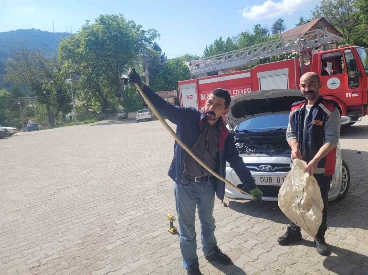 Otomobilin motoruna yılan girdi, gören hem şaşırdı hem korktu
