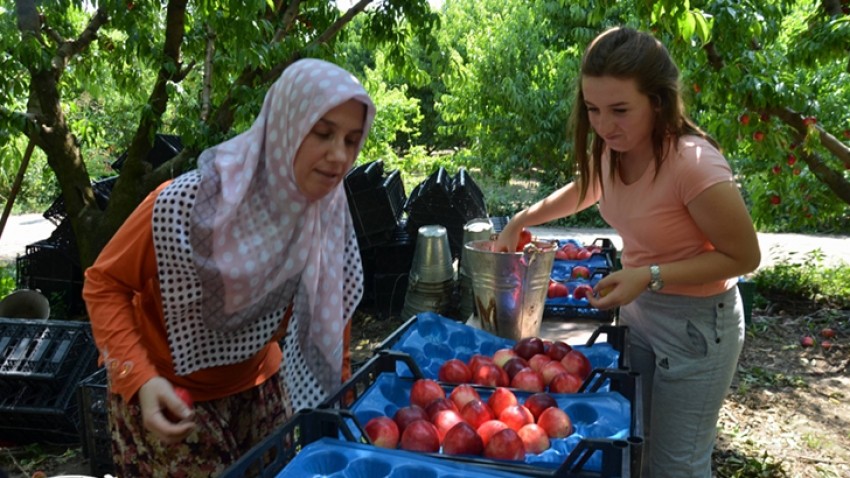 Cumhurbaşkanının mektubu tek umutları oldu