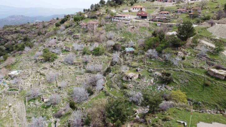 (Özel) Bu mahallede sadece 17 seçmen sandık başına gidecek
