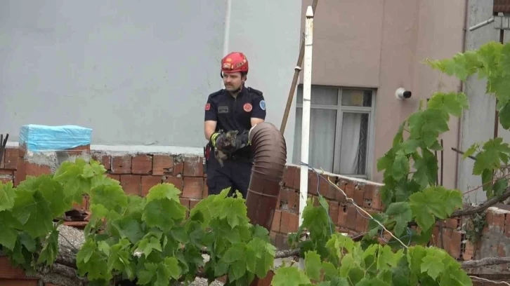 Bursa'da yavru kedi titiz bir çalışmayla kurtarıldı