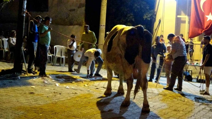 Piste çıkan boğaları para yağmuruna tuttular
