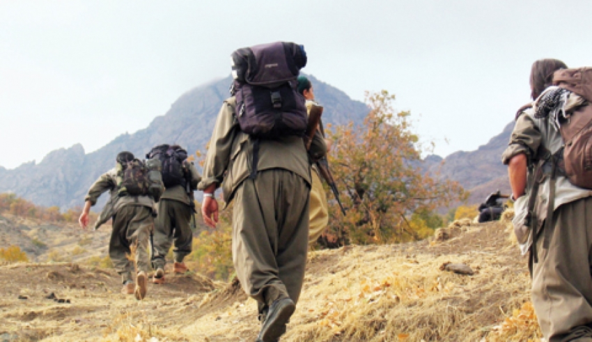 Bitlis'te PKK operasyonu; 4 gözaltı