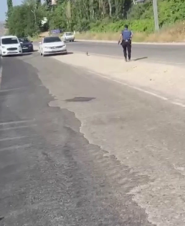 Polis, suçluyu yakalamak için değil, hayat kurtarmak için koştu
