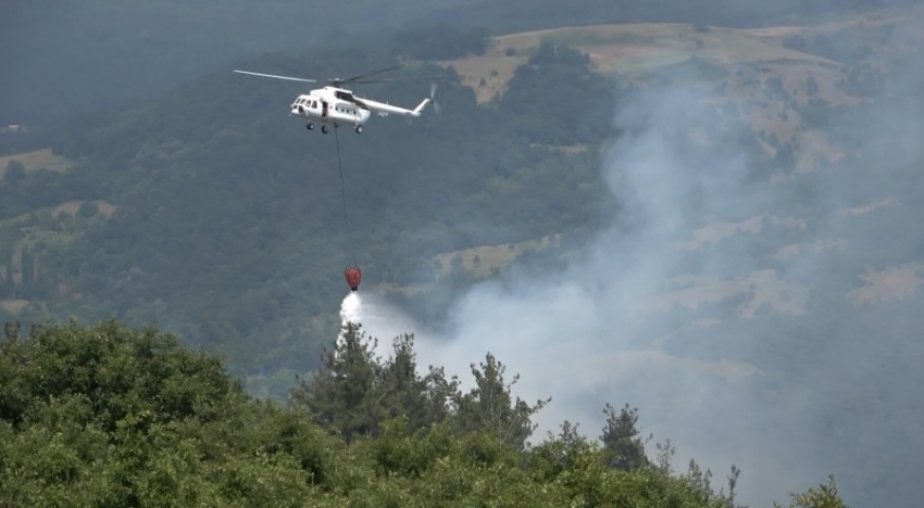 Uludağ eteklerinde yangın