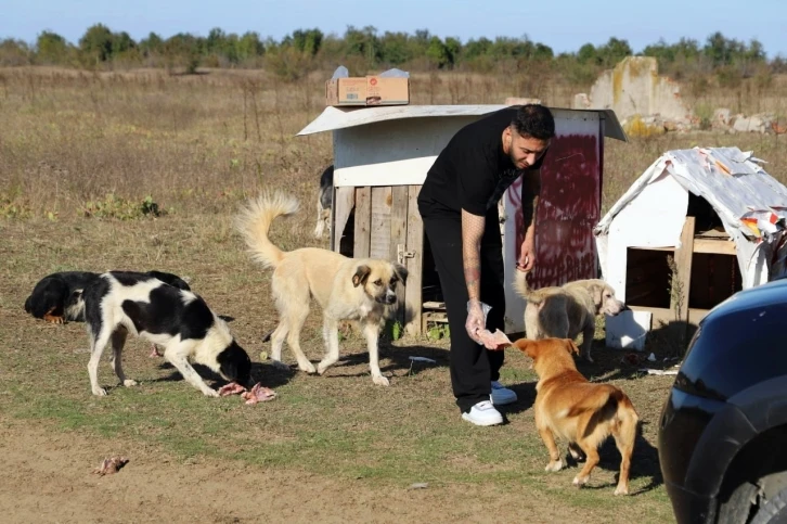 "Daha sonra alacağız" diyerek 80 köpeği boş araziye bıraktılar
