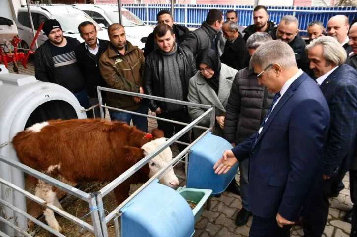 "Etçi ve Kombine Irkların Yaygınlaştırılması" Projesi genişliyor
