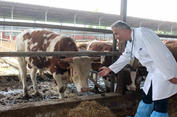 "Kesilen kurban etlerini üst üste koymayın"
