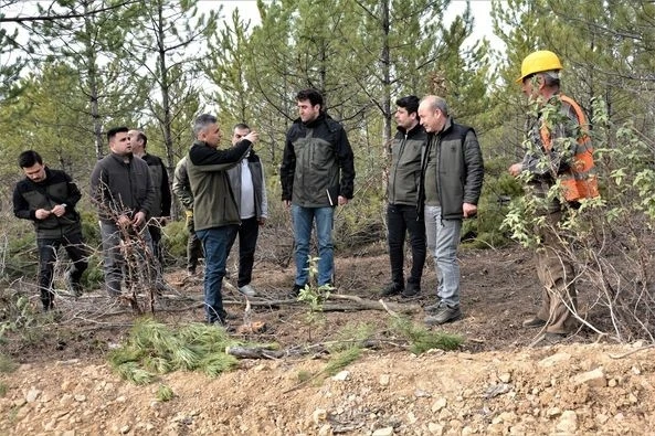 "Sürdürülebilir ormancılık ilkesi sıklık bakımı sahaları için çok önemli"
