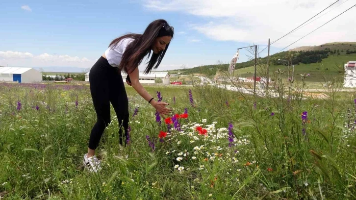 Rengarenk çiçekler doğayı canlandırdı
