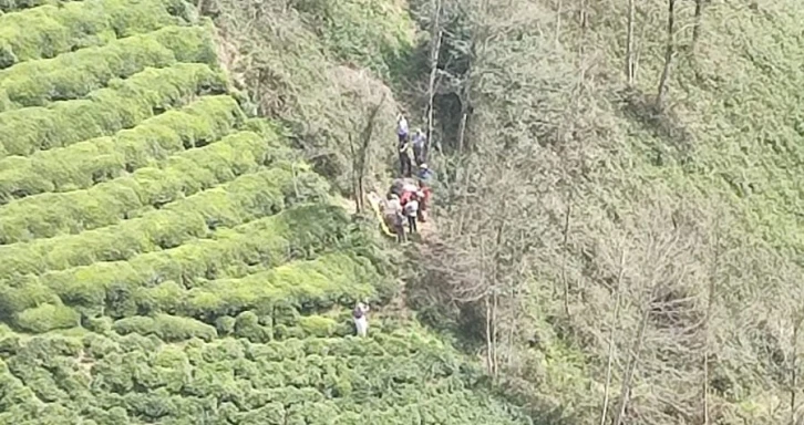 İlkel teleferikten düşen 2 kişi ağır yaralandı