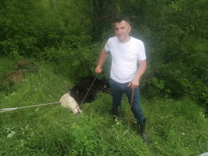 Sahibinden kaçan kurbanlık 4 kişiyi yaraladı, 6 saatte yakalanabildi