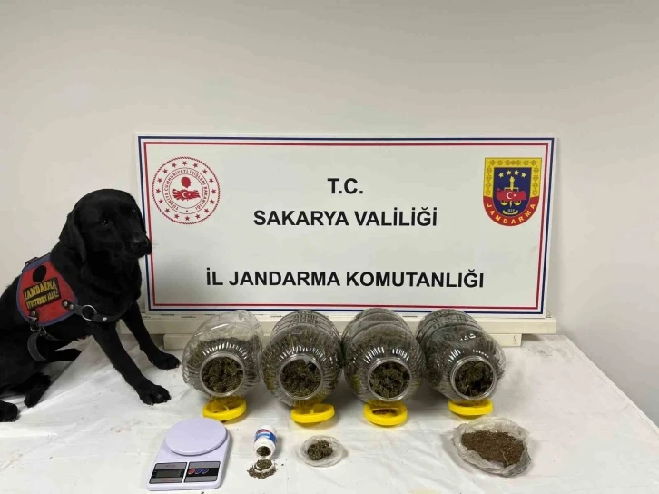 Sakarya’da jandarma suça geçit vermiyor: 6 tutuklama
