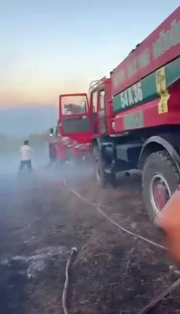 Sakarya’da orman yangını
