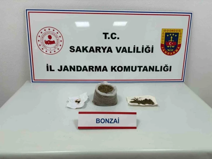 Sakarya’da uyuşturucu operasyonu: 1 tutuklama
