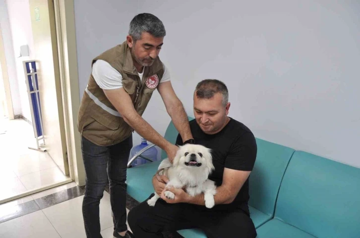 Salihli’de bin kedi ve köpeğe mikroçip takıldı
