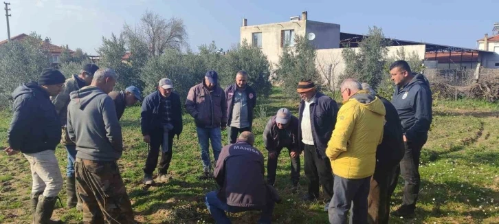 Salihli’de çiftçilere uygulamalı budama eğitimi
