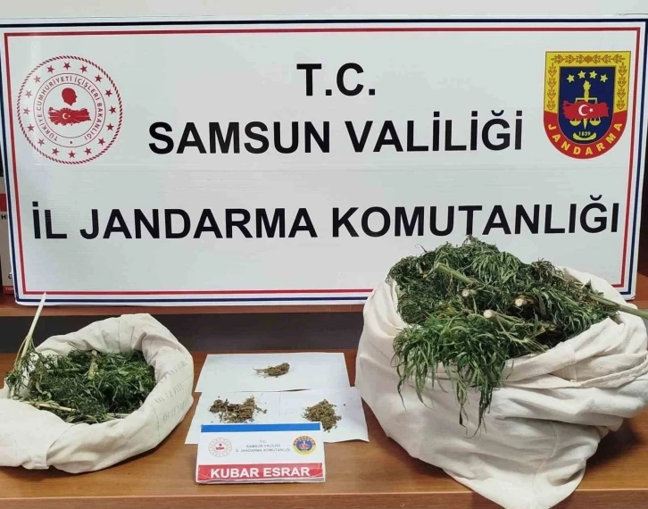 Samsun’da Jandarma 10 kilo kubar esrar ele geçirdi
