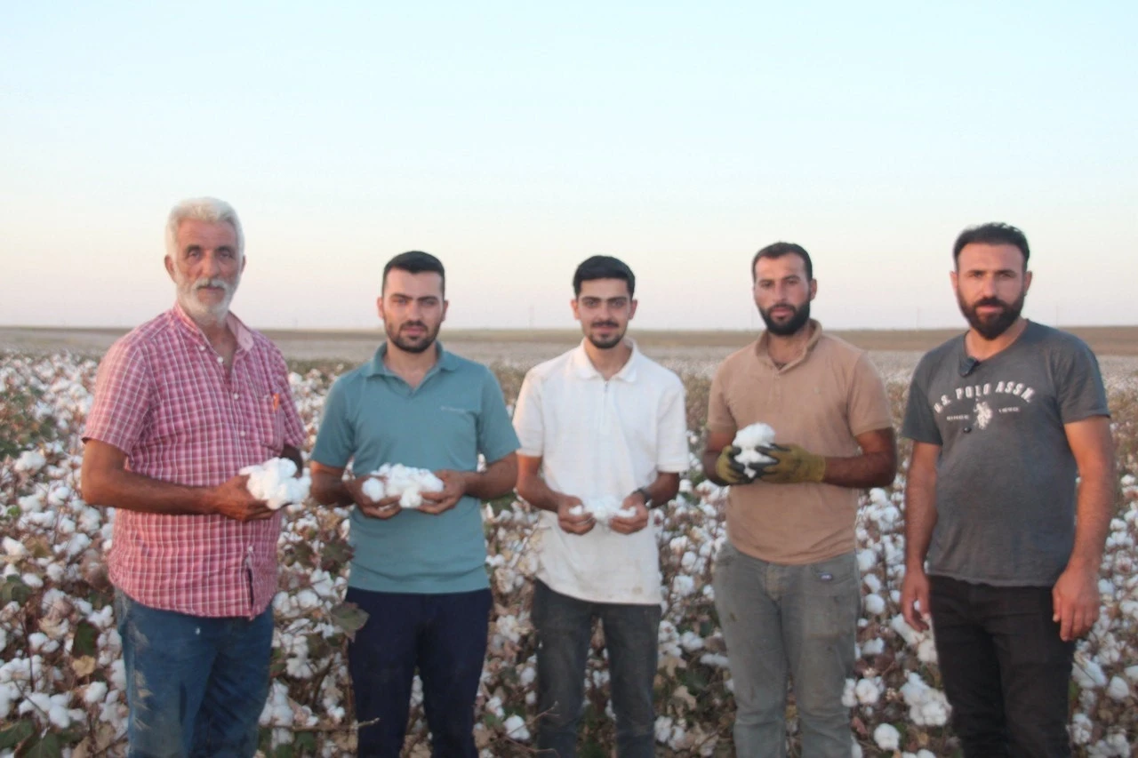 Şanlıurfa’da ’beyaz altın’ hasadı başladı
