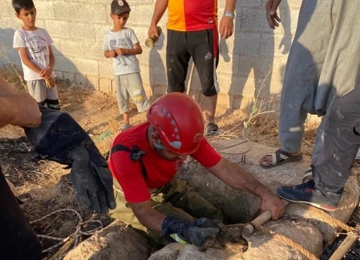 Şanlıurfa’da itfaiye ekipleri kuyuya düşen kedi için seferber oldu