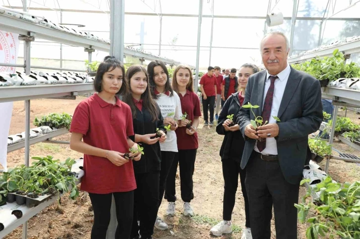 Sarıcakaya’da çilekler, topraksız tarım ve su kültürü tekniği ile yetişecek
