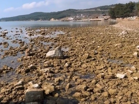 Saros Körfezi’nde deniz suyu çekildi
