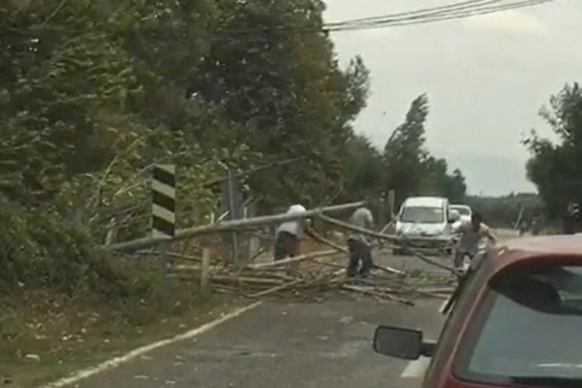 Bursa’da rüzgar ağaçları devirdi, yol trafiğe kapandı