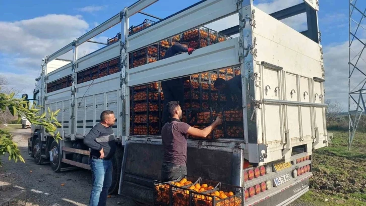 Seferihisar Belediyesinden depremzedelere 15 ton mandalina
