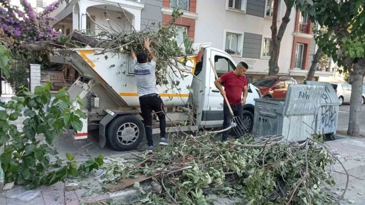 Şehzadeler’de son bahar hazırlığı
