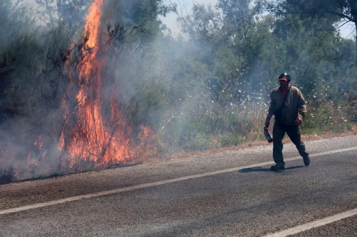 Selçuk’ta bir yangın daha: İlk müdahale vatandaşlardan
