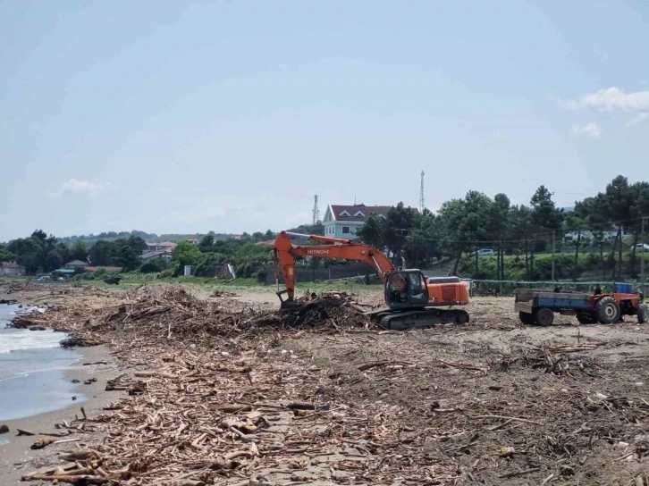 Selde sahile sürüklenen odunlar enerji olacak
