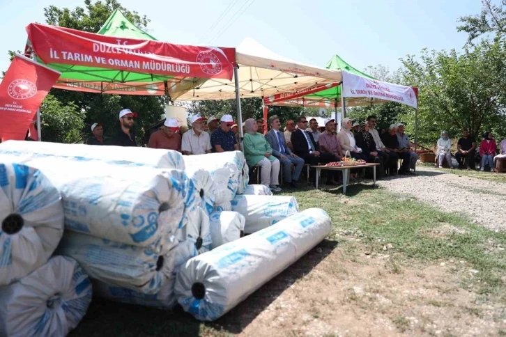 Seralar yenilenecek eski seralar ekonomiye kazandırılacak
