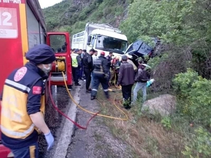 Şerit ihlali yapan kamyon 2 aracı biçti, Ali Uğur ve annesi yaşamını yitirdi