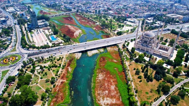 Seyhan Nehri’ni kaplayan yosunlar insan boyunu geçti, kötü koku kenti kapladı
