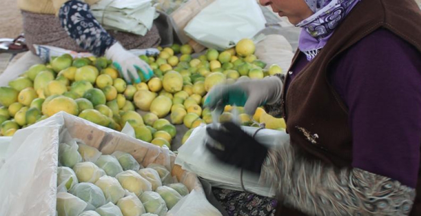 Limon çetesi çökertildi