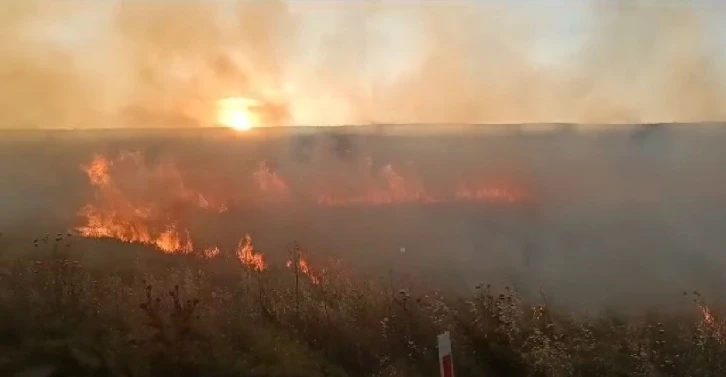 Sigara izmariti Ziraat Odası Başkanının 20 dönüm arpasını küle çevirdi
