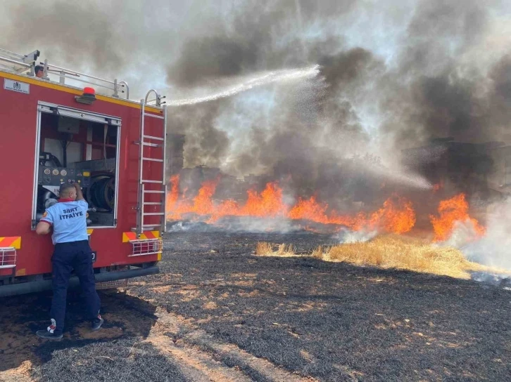 Siirt’te 130 dekar tarım arazisi küle döndü
