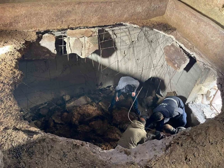 Siirt’te ahır çöktü: 12 koyun telef oldu
