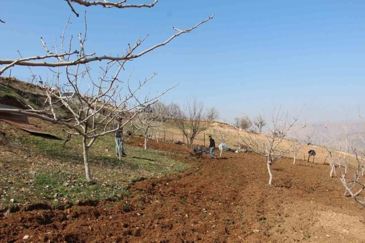 Siirt’te ÇKS başvuru süresi 8 Mayıs’ta sona eriyor
