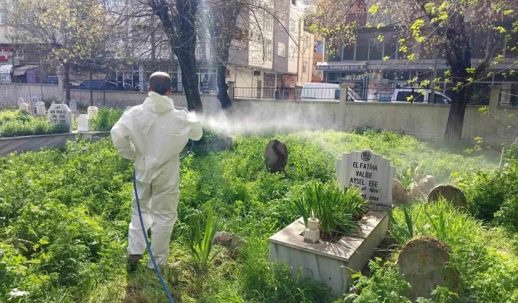 Siirt’te mezarlıklarda yabani otlara karşı ilaçlama çalışması başlatıldı
